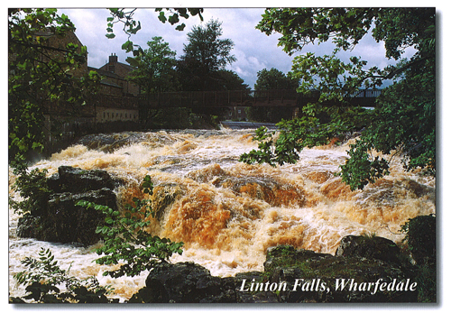 Linton Falls, Wharfedale postcards